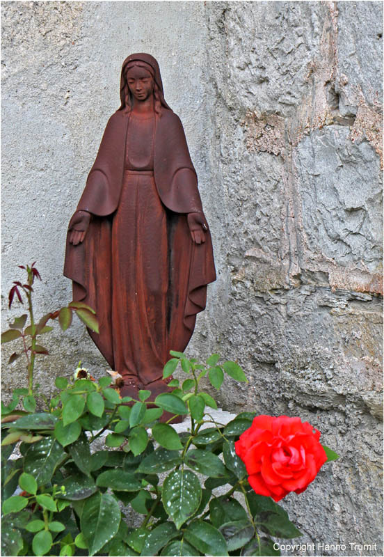 62.Cividale, Maria mit der Rose