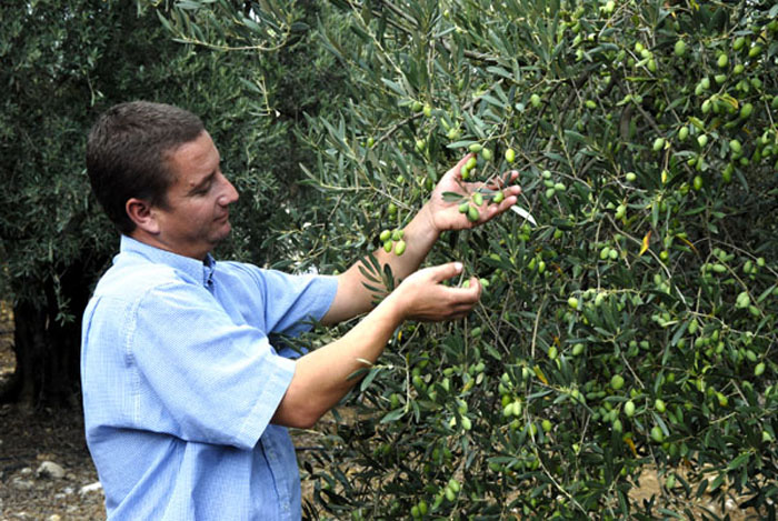 Pierre Vialla-Domaine d'Oulivie