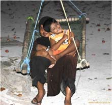 Scheu auf Dhigurah, Ari-Atoll