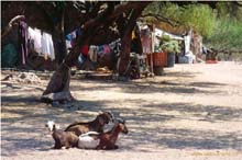 31.Dorfleben Agua Verde