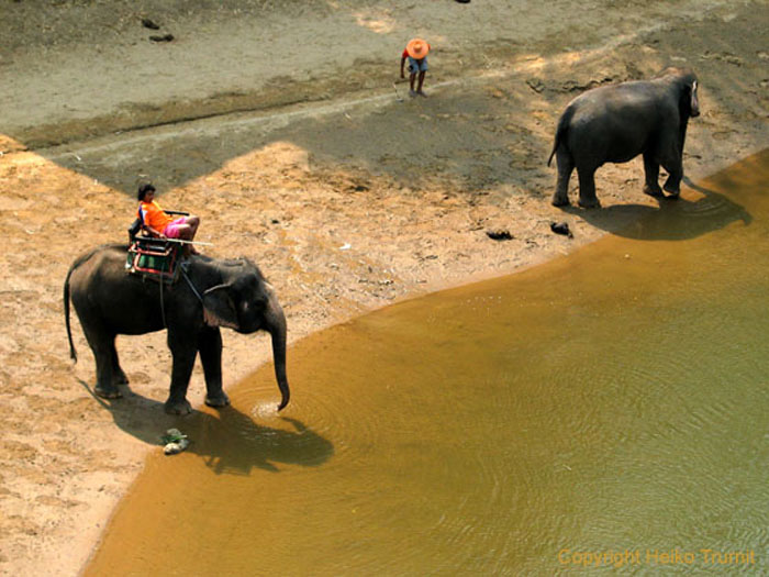 Elefanten-Trecking-1