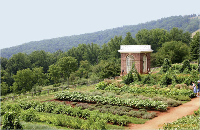 25.Jefferson's beruehmter Kuechengarten