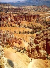19.Navajo-Trail im Bryce Canyon