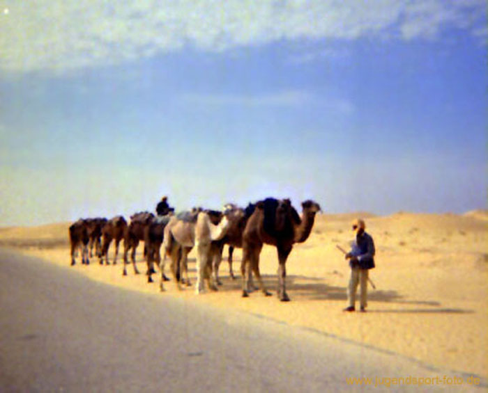 Begegnungen_in_der_Sahara